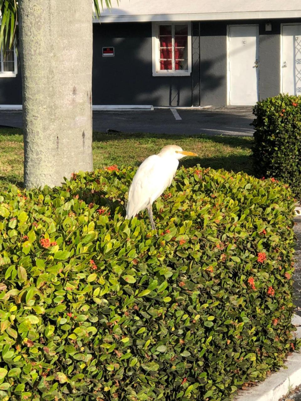 Bay Breeze Inn Bradenton Downtown Exterior photo